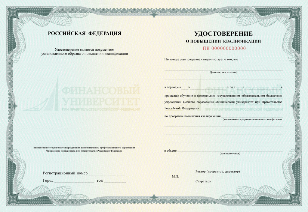 Документ, который Вы получите